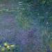 Waterlilies: Morning (detail)